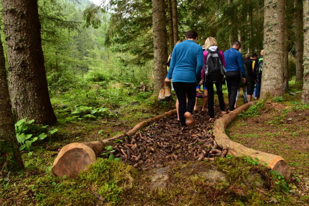 park-therapy abbracciare-gli-alberi vacanza-natura-trentino