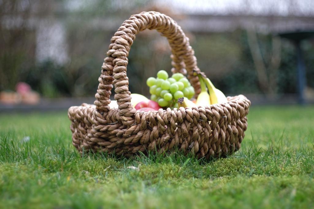 pic nic degustazioni vino trentino cucina trentina4