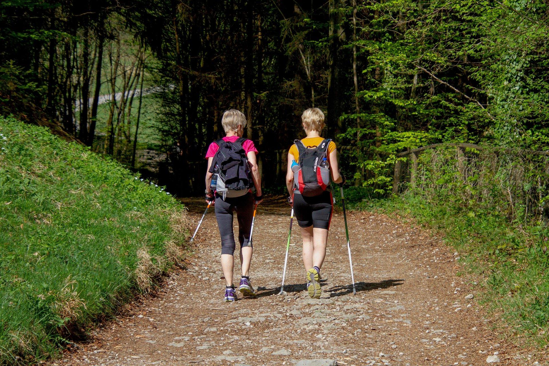 nordic_walking_in_trentino_val_di_sole_e_val_di_rabbi.jpg